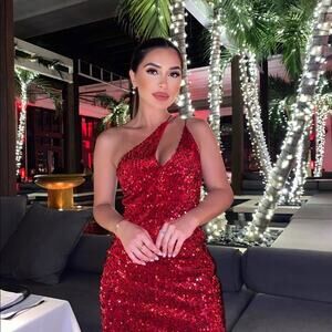 ZARA BLOGGER FAVORITE VELVET SEQUIN DRESS RED